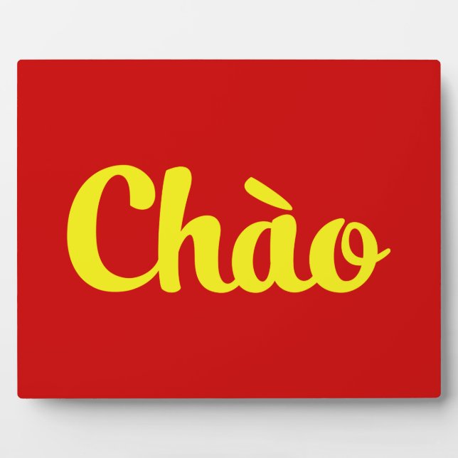 Chào / Hello ~ Vietnam / Vietnamese / Tiếng Việt Plaque (Front)