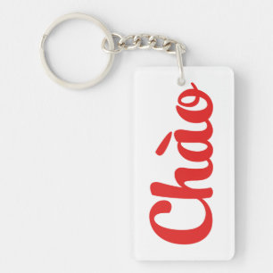 Chào / Hello ~ Vietnam / Vietnamese / Tiếng Vi Key Ring