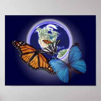 Chaos and the Butterfly Poster