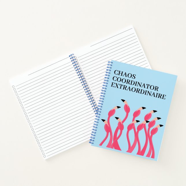 Chaos Coordinator Extraordinaire Funny Teacher's Notebook (Inside)