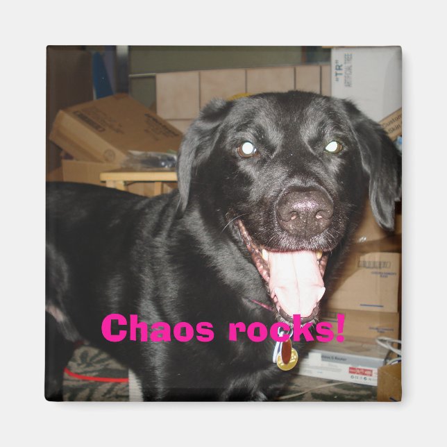 Chaos rocks! magnet (Front)