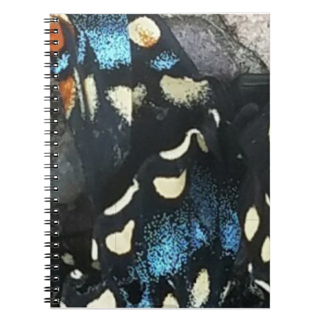 Chaos Theory Notebook (Front)