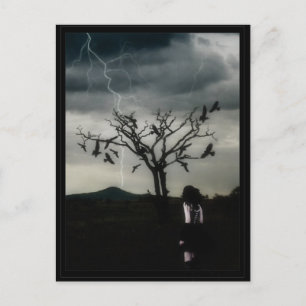 Chaos Theory Postcard