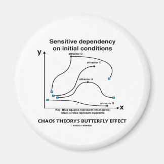 Chaos Theory's Butterfly Effect Magnet