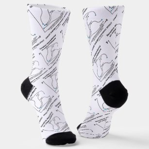 Chaos Theory's Butterfly Effect Sensitive Socks