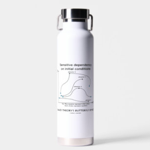 Chaos Theory's Butterfly Effect Sensitive Water Bottle