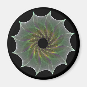 chaotic attraction magnet