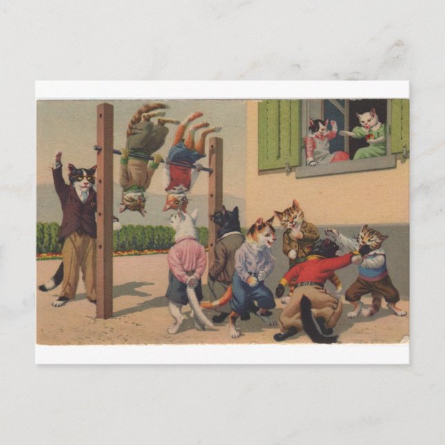 Chaotic Cats, Gym Class Brawl, Repro Postcard (Front)