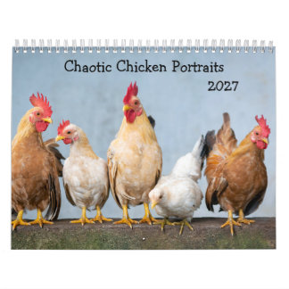 Chaotic Chicken Portraits 2027 Calendar