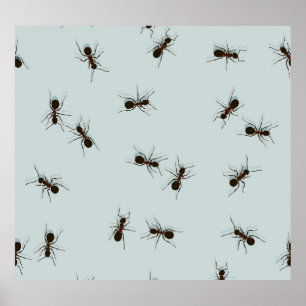 Chaotic Red Ants Stylish Pattern Poster