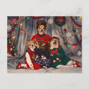 Chaotic Retro Chihuahua Christmas Family Portrait Postcard