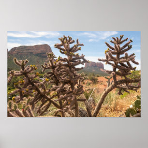 Chapel of the Holy Cross Poster