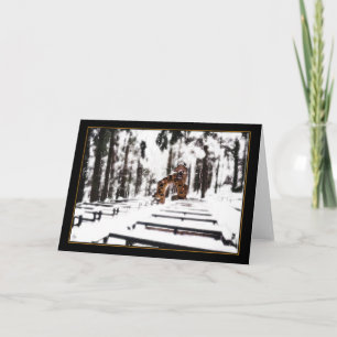Chapel of the Woods in a Snowy Glow Card