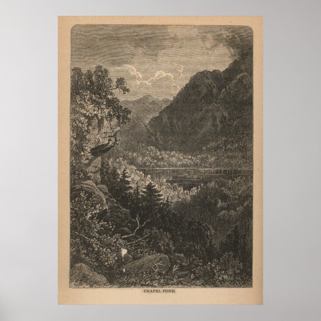 Chapel Pond Poster (Front)