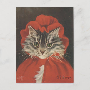 Chaperon rouge chat postcard