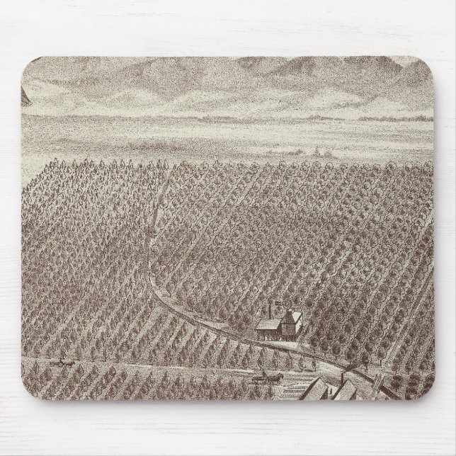 Chapin Fruit Ranch Mouse Mat (Front)