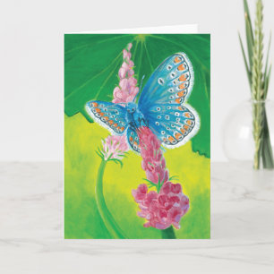 Chapmans blue butterfly (Polyommatus thersites) Card