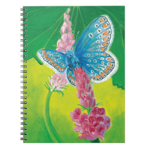 Chapmans blue butterfly (Polyommatus thersites) Notebook