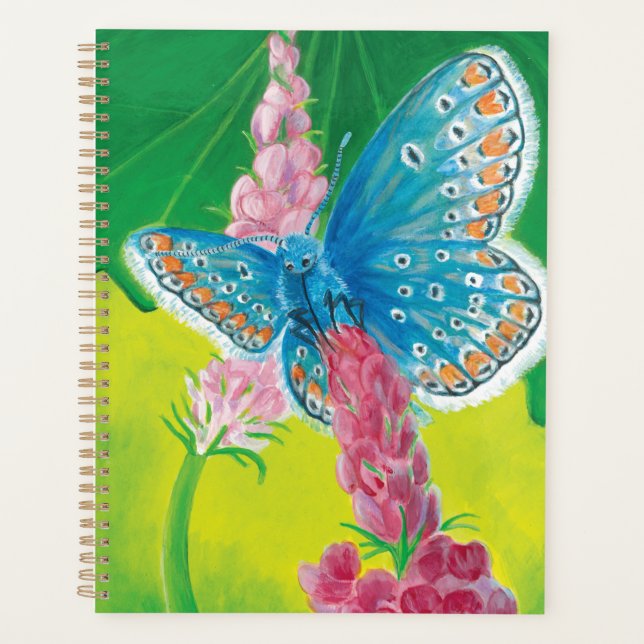 Chapmans blue butterfly (Polyommatus thersites) Planner (Front)
