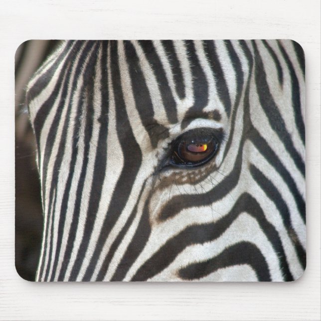 Chapman's Zebra Mouse Mat (Front)