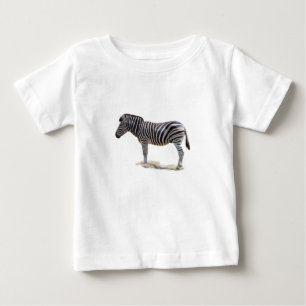 Chapman's Zebra Photo Baby T-Shirt