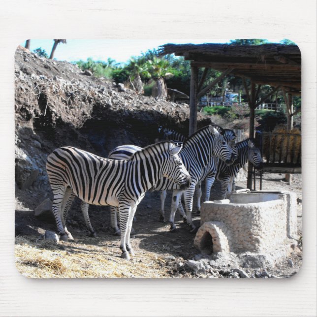 Chapman's Zebras Mouse Mat (Front)