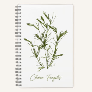 Chara Fragilis Sea-Inspired Notebook