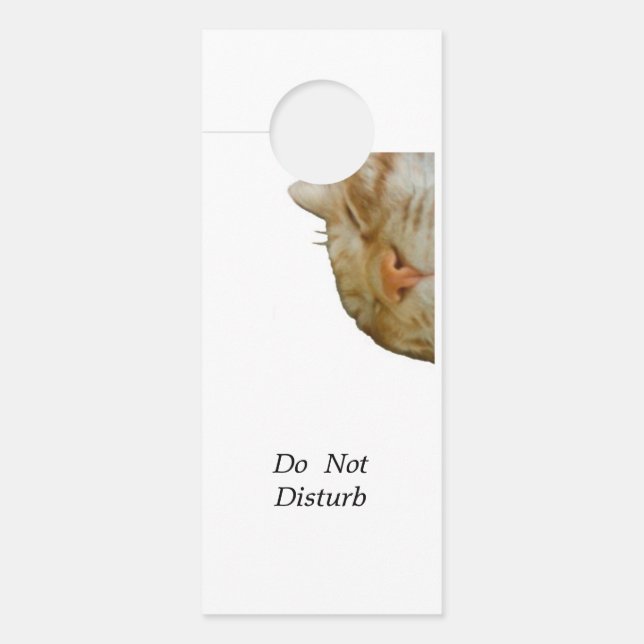 Character Customization Don't disturb Door Hanger (Front)