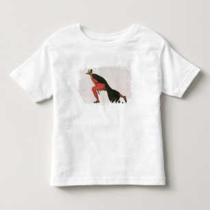 Character from a Play Toddler T-Shirt