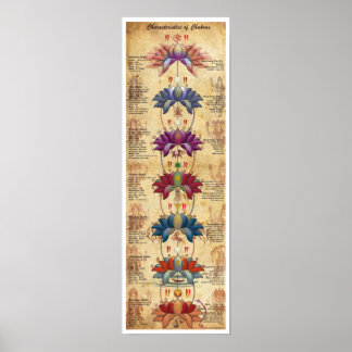 Characteristics of Chakras - Contrastive Style Poster