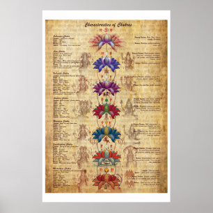 Characterstics of Chakras Yoga Art Print