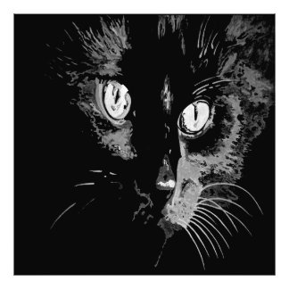 Charcoal Artistic Black Cat Portrait Photo Print