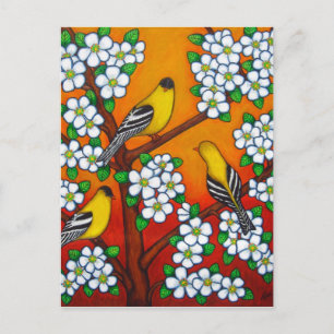 Chardonnay Sunset Post Card