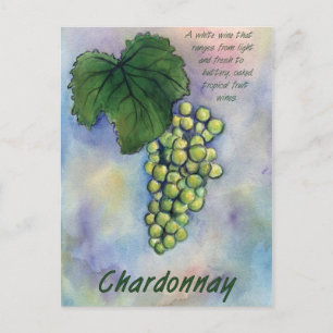 Chardonnay Wine Grapes & Description Postcard