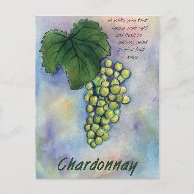 Chardonnay Wine Grapes & Description Postcard (Front)