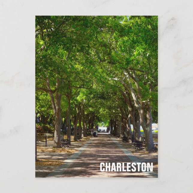 Charelston South Carolina Ravenel Waterfront Park Postcard (Front)