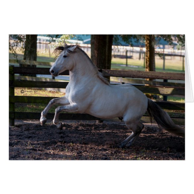 Charge (Front Horizontal)