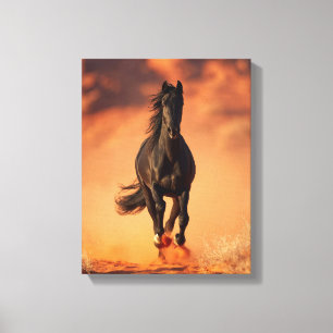 Charging Black Horse Fiery Sunset Art Canvas Print