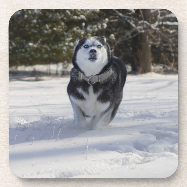 Charging Through Coaster (Front)