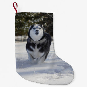 Charging Through Husky Christmas Stocking