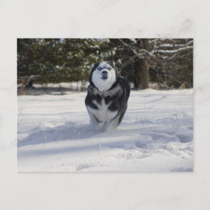 Charging Through Postcard