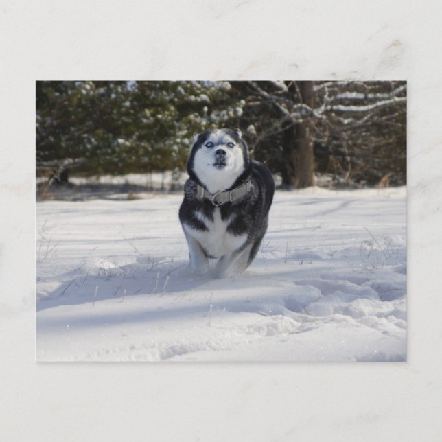 Charging Through Postcard (Front)