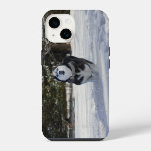 Charging Throught iPhone 14 Case
