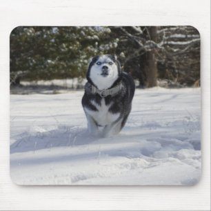 Charging Throught Mouse Mat