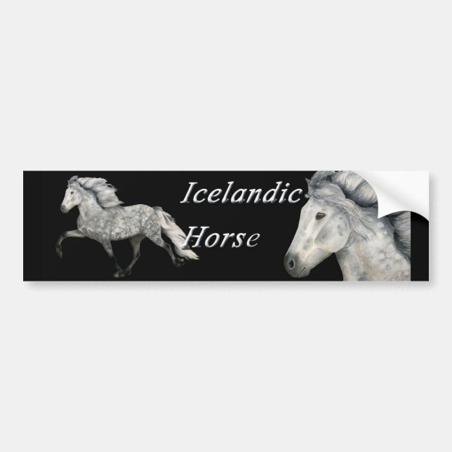 Charismatic Bumper Sticker (Front)