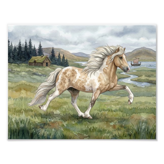 Charismatic Pinto Icelandic Mare watercolor Photo Print (Front)