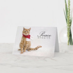 Charity Holiday Cards