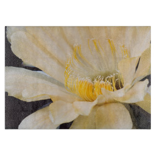 Charlemagne Echinopsis in bloom Cutting Board