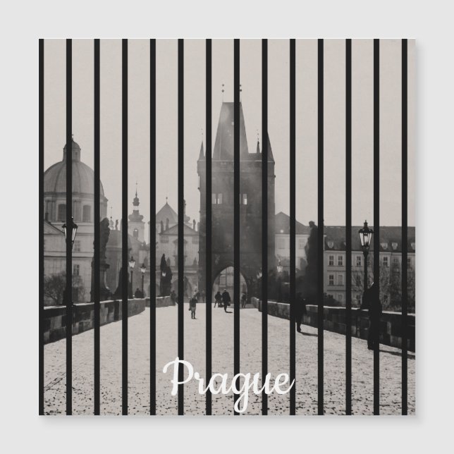 Charles bridge in Prague Magnet (Front)