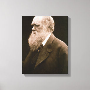 Charles Darwin (1809-82) (photo) Canvas Print
